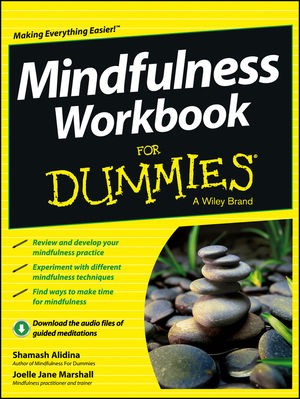 Mindfulness workbook for dummies