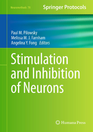 Stimulation and Inhibition of Neurons