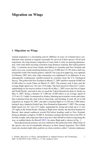 Migration on Wings: Aerodynamics and Energetics