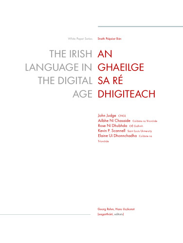 The Irish Language in the Digital Age