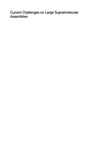 Current Challenges on Large Supramolecular Assemblies