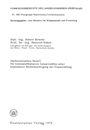 Mathematisches Modell für brennstoffbeheizte Industrieöfen unter besonderer Berücksichtigung der Gasstrahlung