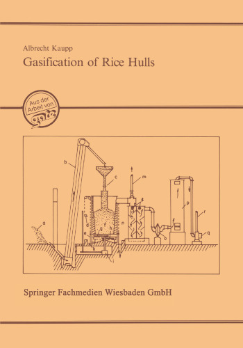 Gasification of Rice Hulls: Theory and Praxis