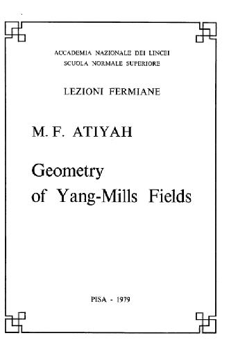 Geometry of Yang-Mills fields