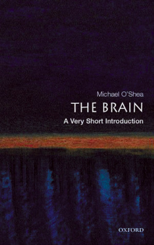 The brain: a very short introduction