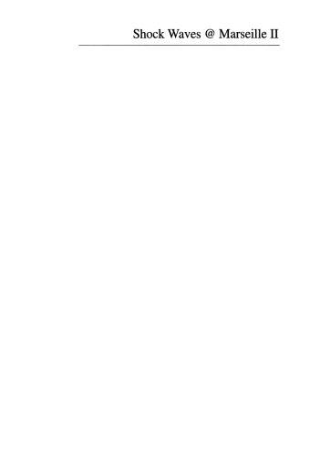 Shock Waves @ Marseille II: Physico-Chemical Processes and Nonequilibrium Flow