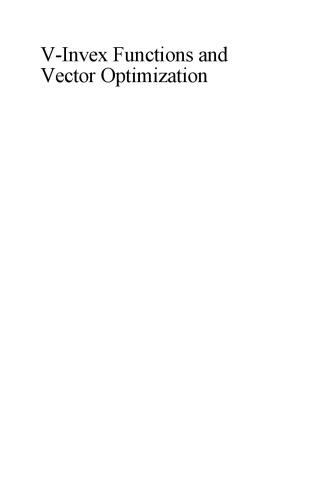 V-Invex Functions and Vector Optimization