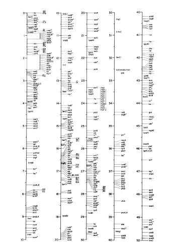 Bakterien- und Phagengenetik: Eine Einfuhrung