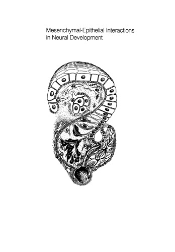 Mesenchymal-Epithelial Interactions in Neural Development