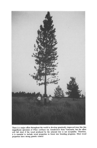 Genetics of Wood Production