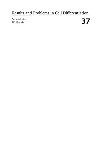 Drosophila Eye Development