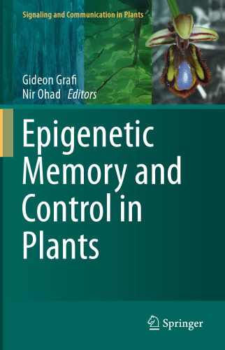 Epigenetic Memory and Control in Plants