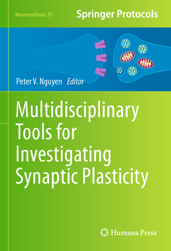 Multidisciplinary Tools for Investigating Synaptic Plasticity