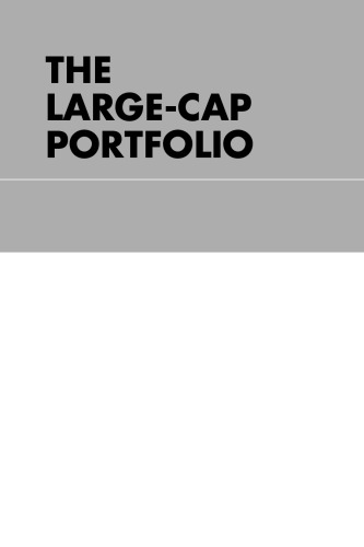 The Large-Cap Portfolio: Value Investing and the Hidden Opportunity in Big Company Stocks