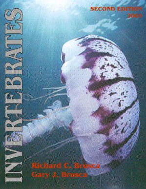 Invertebrates Volume 6